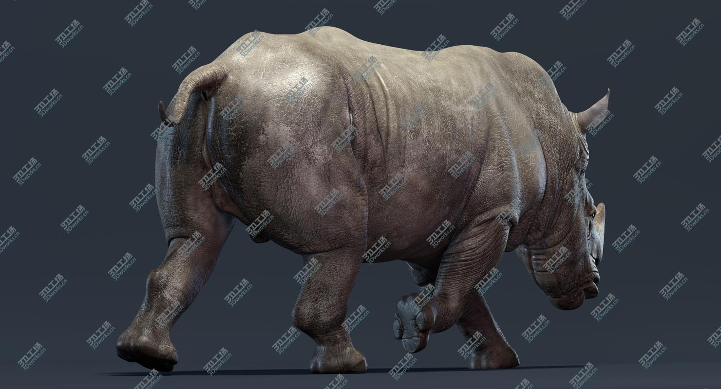 images/goods_img/20210313/Rhino Family (Animated) 3D/5.jpg